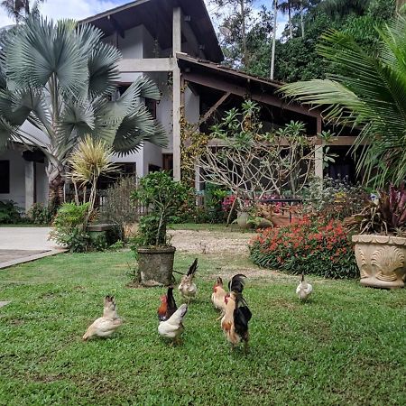 Apartamento Casa na Floresta Penedo  Exterior foto